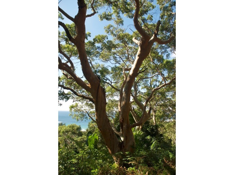 7/5a Wollombi Road, Bilgola NSW 2107