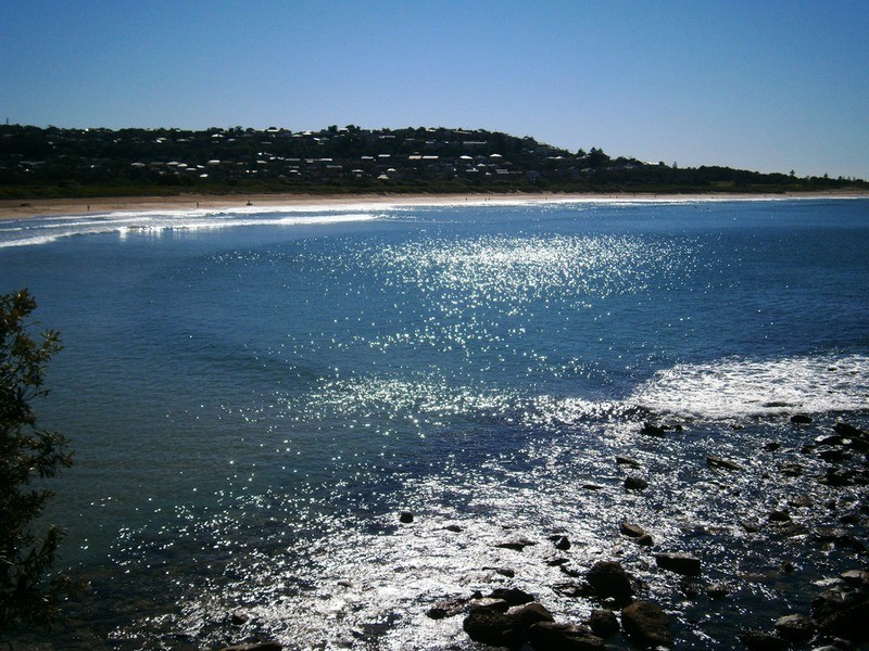 12/172 Pacific  Parade, Dee Why NSW 2099