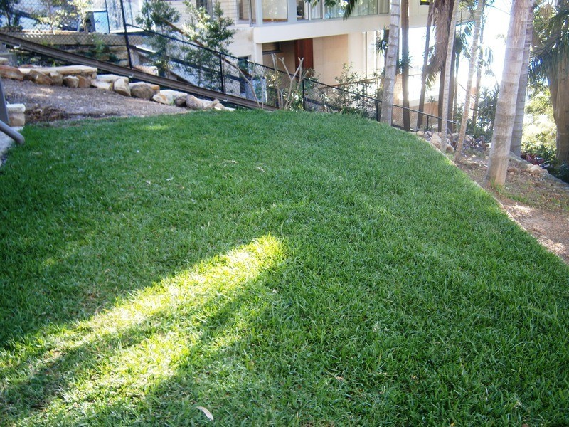 8 Cabarita Road, Avalon NSW 2107