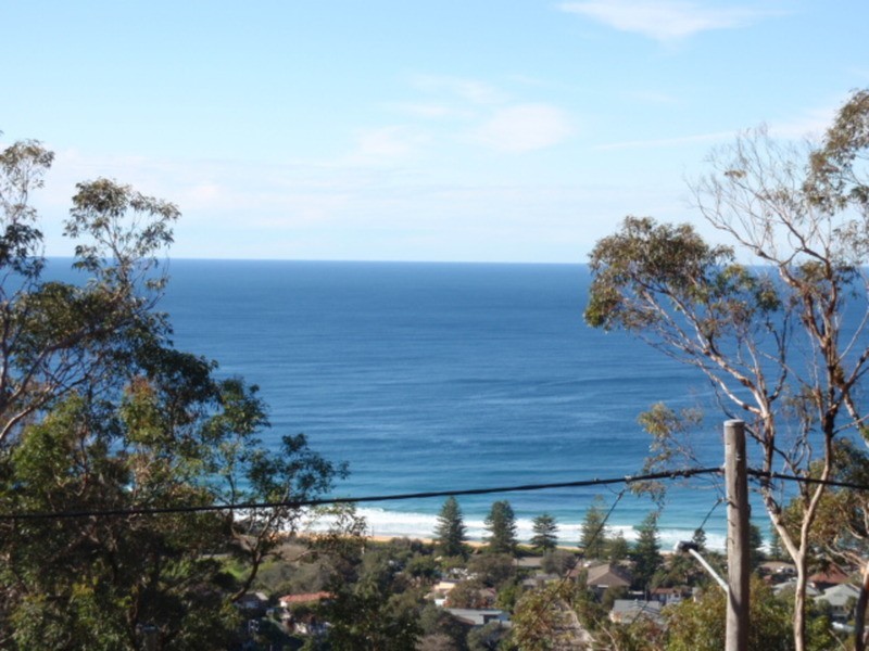 105 Grandview Drive, Newport NSW 2106