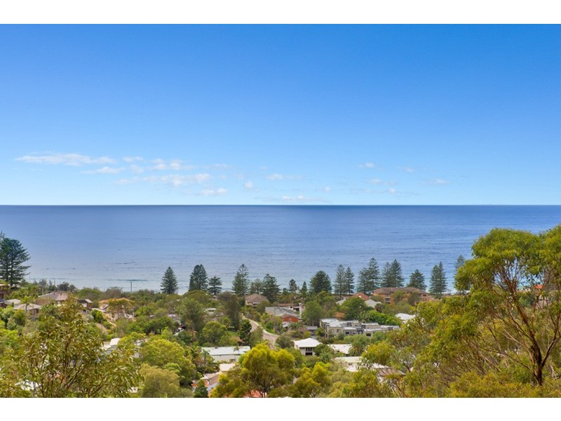 44 Grandview Drive, Newport NSW 2106