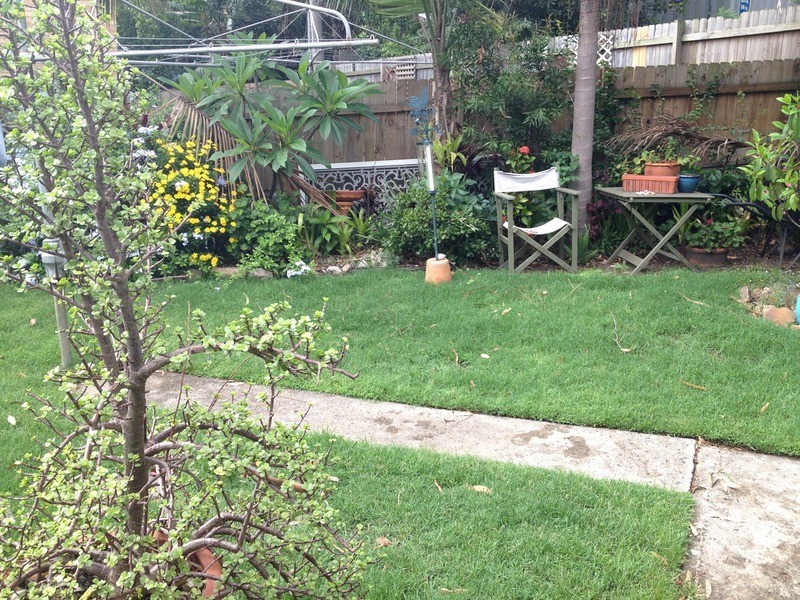 1/5 Livingstone Place, Newport NSW 2106