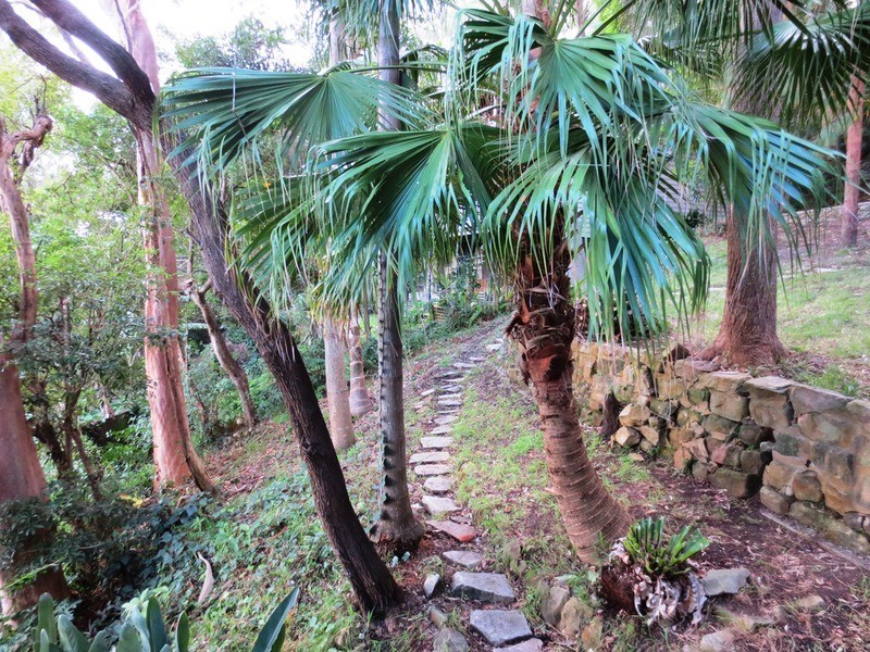 27 Capua Place, Avalon NSW 2107