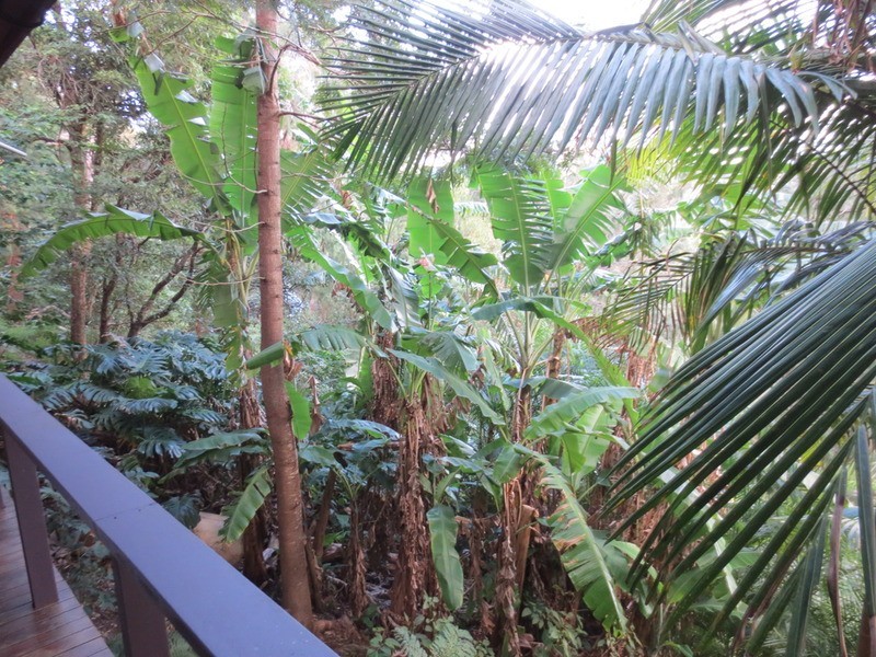 27 Capua Place, Avalon NSW 2107