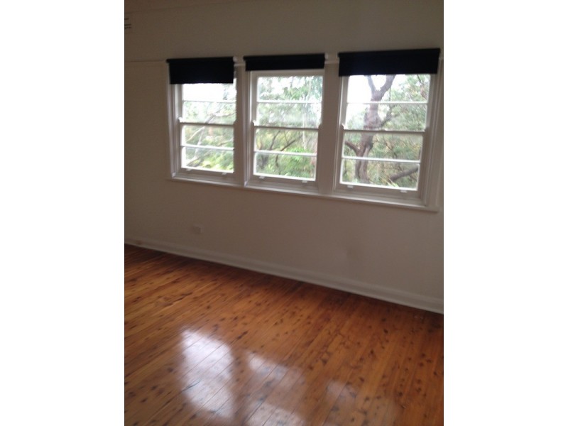 57 Careel head Road, Avalon Beach NSW 2107