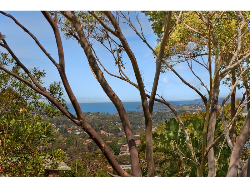 73 Cheryl Crescent, Newport NSW 2106