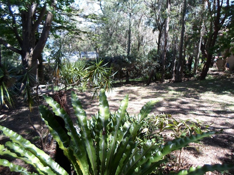 67a Riviera Avenue, Avalon NSW 2107