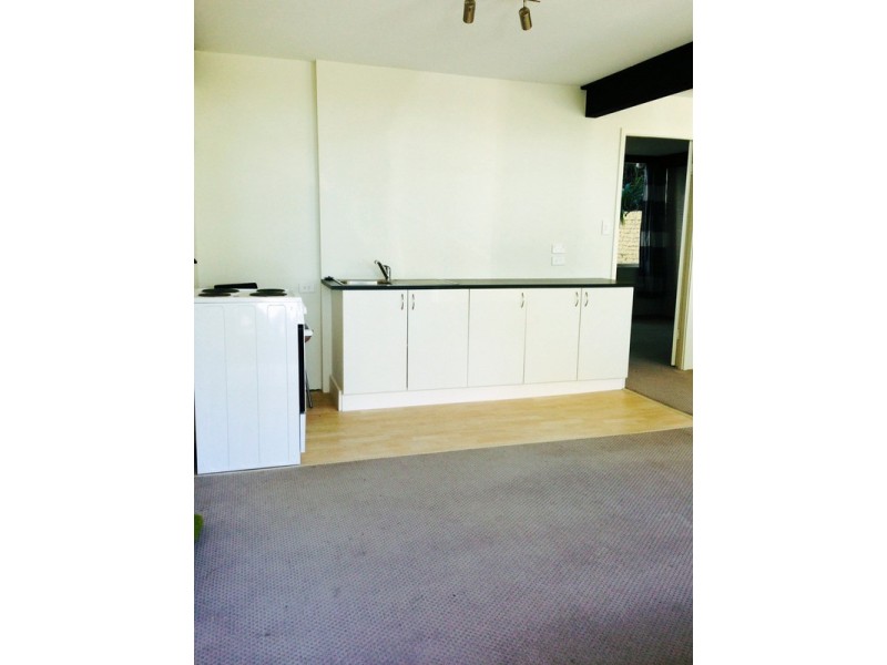 Lower/225 Hudson Parade, Avalon NSW 2107