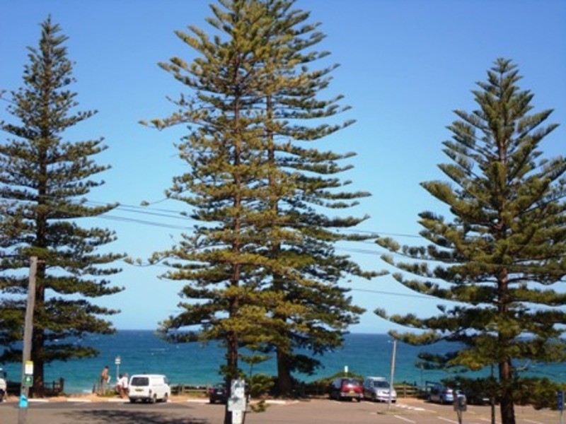 4/403 Barrenjoey  Road, Newport NSW 2106