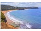 29 Grandview Drive, Newport NSW 2106