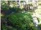 18 George Street, Avalon Beach NSW 2107