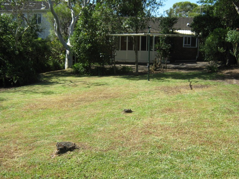 3 Urara Road, Avalon NSW 2107