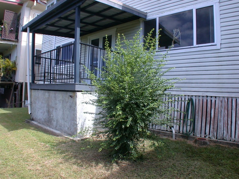 2/55 Pine Avenue, East Ballina NSW 2478