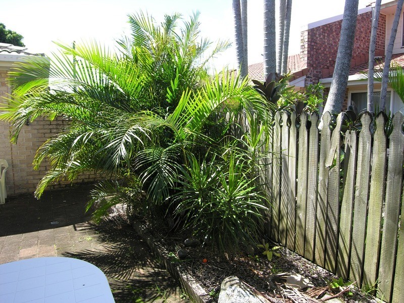 2/24 Bentinck Street, Ballina NSW 2478