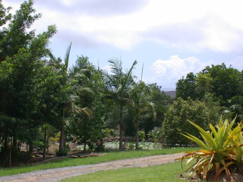 88 Meridian Drive, Coolgardie NSW 2478