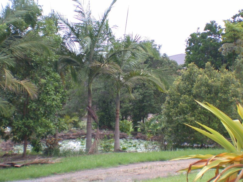 88 Meridian Drive, Coolgardie NSW 2478