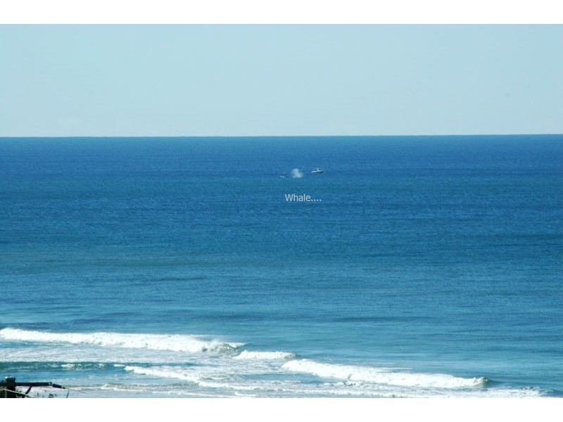 18 Suvla Street, East Ballina NSW 2478