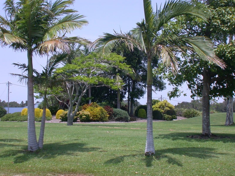 2/69 Jameson Avenue, East Ballina NSW 2478