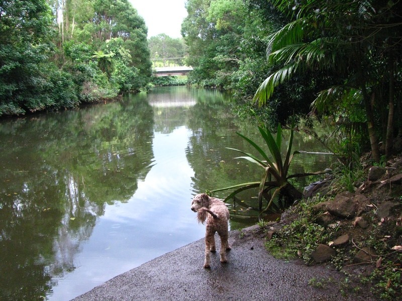 18 George Street, Tintenbar NSW 2478