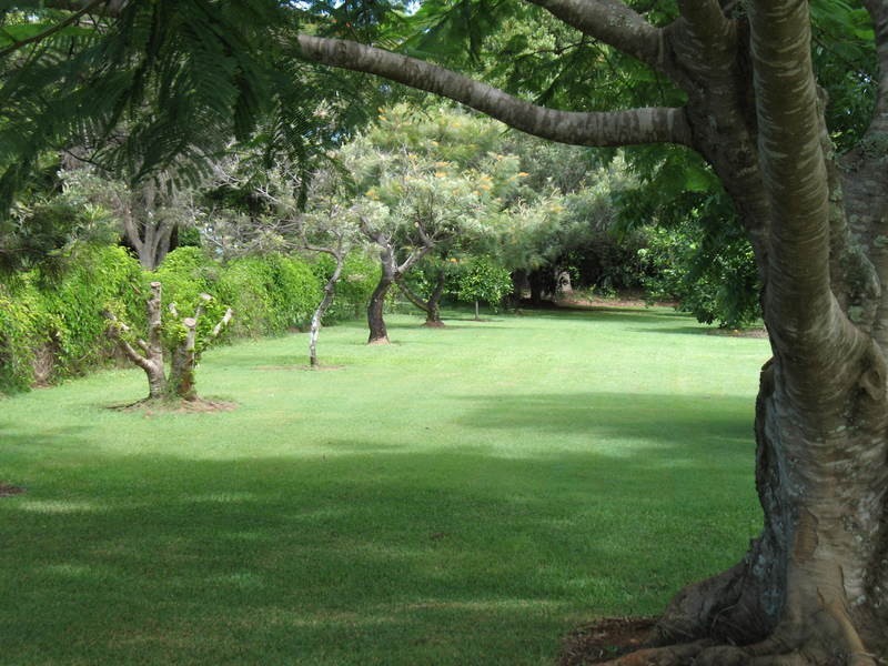 51 Summerhill Crescent, Cumbalum NSW 2478