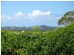 51 Summerhill Crescent, Cumbalum NSW 2478