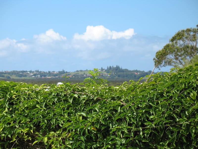 51 Summerhill Crescent, Cumbalum NSW 2478