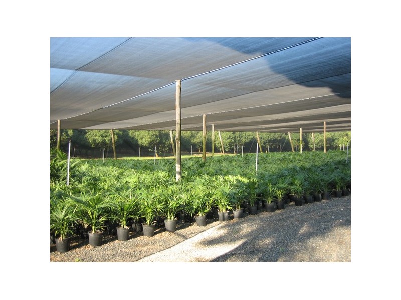 62 Johnstons Road, Alstonville NSW 2477