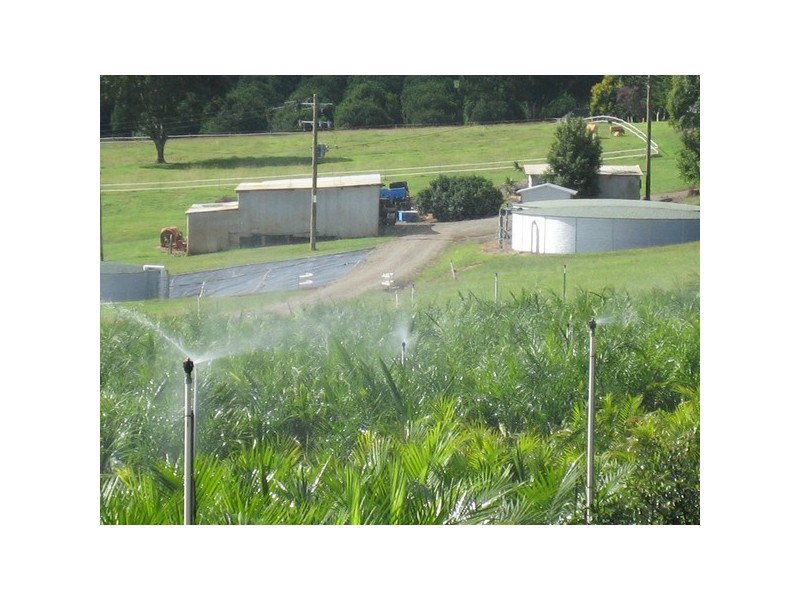 62 Johnstons Road, Alstonville NSW 2477