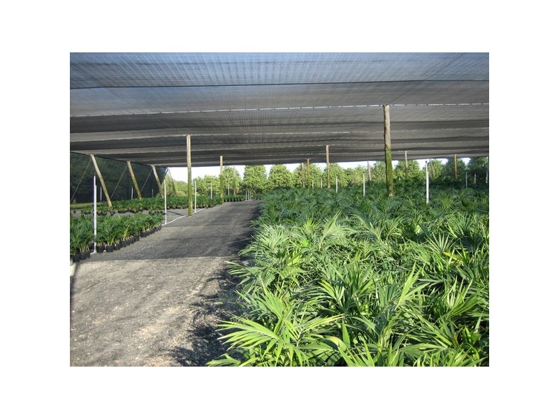 62 Johnstons Road, Alstonville NSW 2477