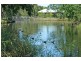 6 Teraglin Place, Ballina NSW 2478