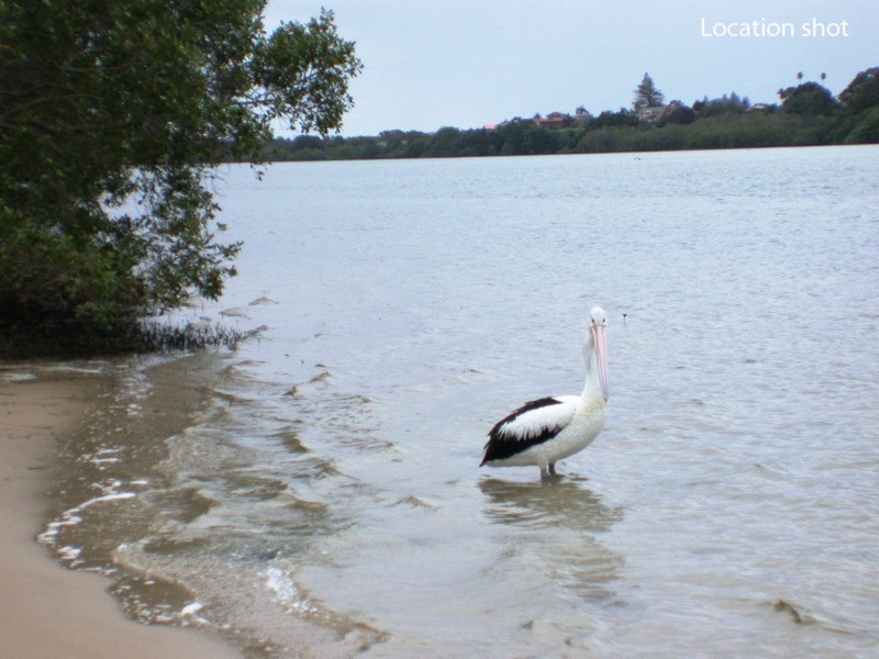 130 Cherry Street, Ballina NSW 2478