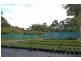 21 Old Pacific Highway, Newrybar NSW 2479