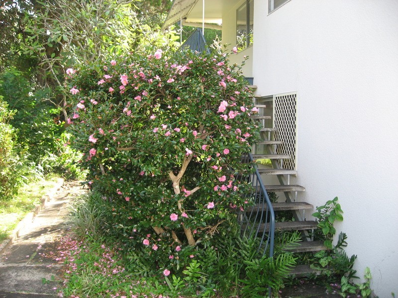 2A Short Street, East Ballina NSW 2478