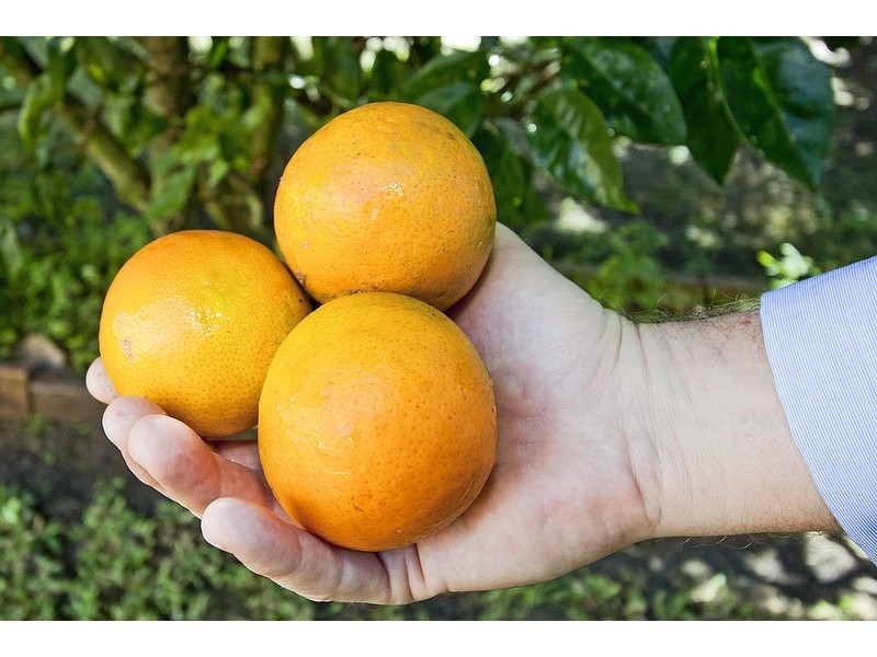 151 Fox Street, Ballina NSW 2478