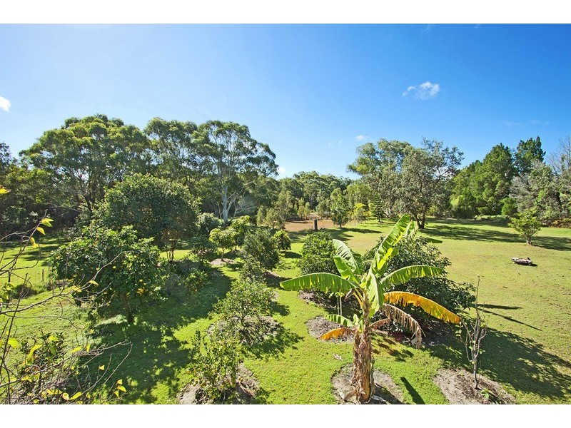 674 Pimlico Road, Pimlico NSW 2478