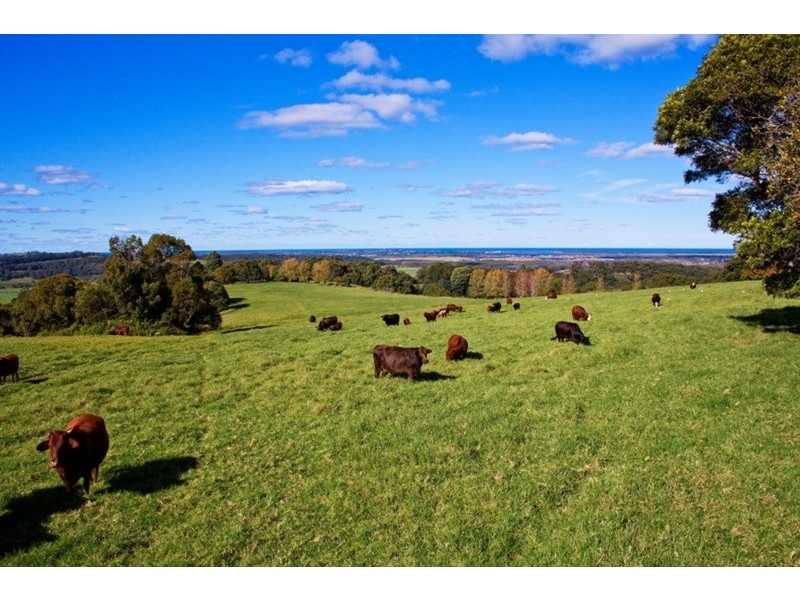 Alstonville NSW 2477