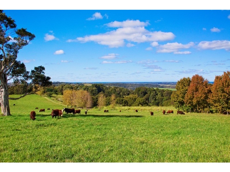 Alstonville NSW 2477