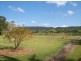 500 Pimlico Road, Pimlico NSW 2478