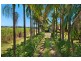 372 Pimlico Road, Pimlico NSW 2478