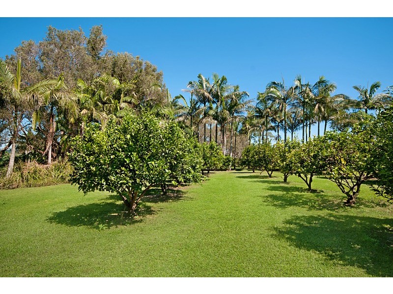 372 Pimlico Road, Pimlico NSW 2478