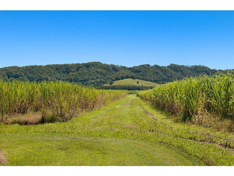 372 Pimlico Road, Pimlico NSW 2478