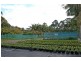 21 Old Pacific Highway, Newrybar NSW 2479
