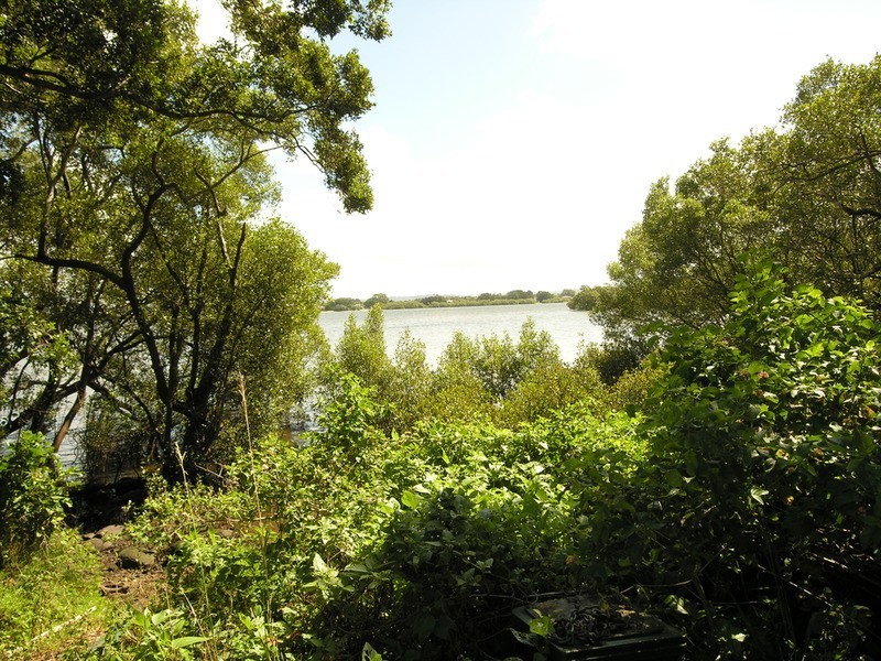 6 Northumberland Drive, East Ballina NSW 2478