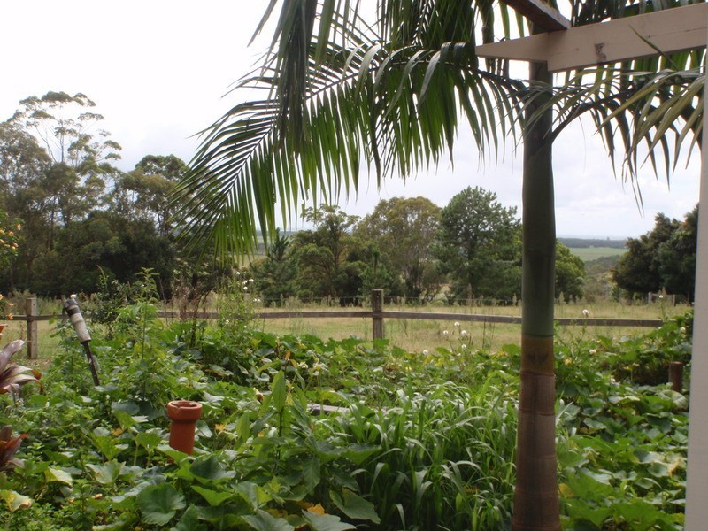 92 Ross Lane, Lennox Head NSW 2478