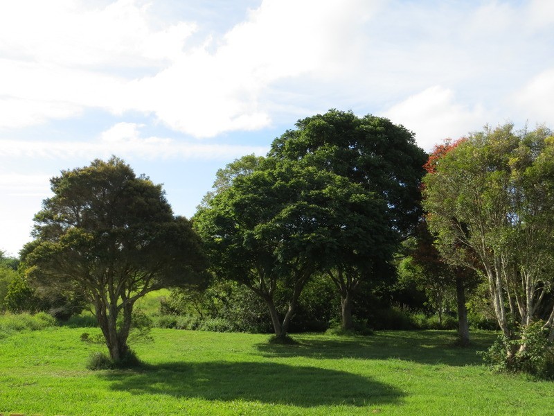 2/21 Clare Street, Alstonville NSW 2477