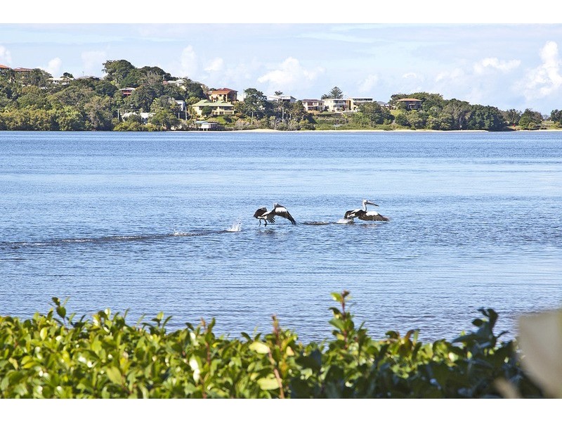 5/145 Cherry Street, Ballina NSW 2478