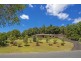 101 Platypus Drive, Uralba NSW 2477