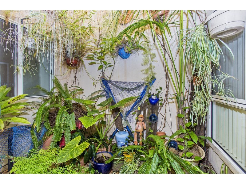 6/145 Cherry Street, Ballina NSW 2478