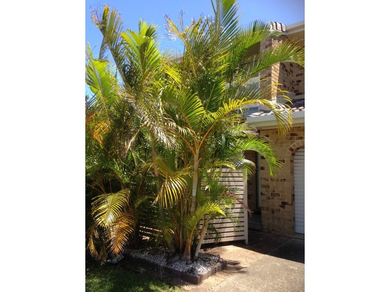 22/111 Kalinga Street, West Ballina NSW 2478