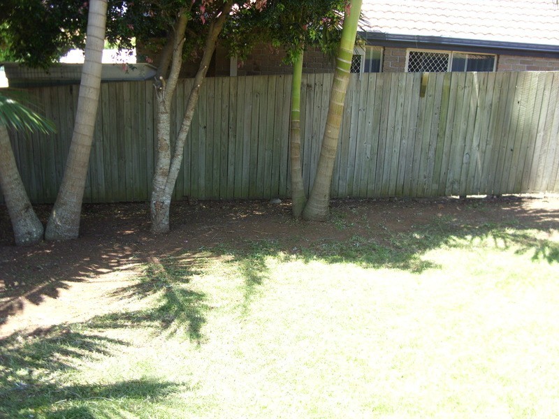 Banora Point NSW 2486